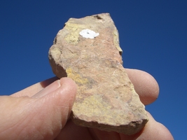 Item image 9