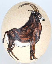 Ostrich Egg Hand Painted Sable Antelope on Real Ostrich Eggshell Africa - £156.53 GBP