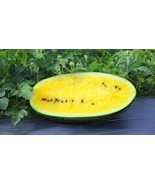 50+ Mountain Sweet Yellow Watermelon Seeds - $10.96