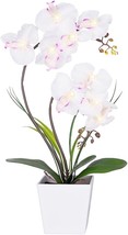 Homeseasons Pre-Lit Artificial Orchid Arrangement, Led Orchid Plant With 9 - £31.41 GBP