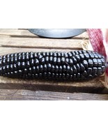 Maize Morado - Black Corn from Peru - $7.90 CAD