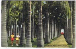 Florida Postcard Vero Beach McKee Jungle Garders Stately Royal Palms  - £2.34 GBP