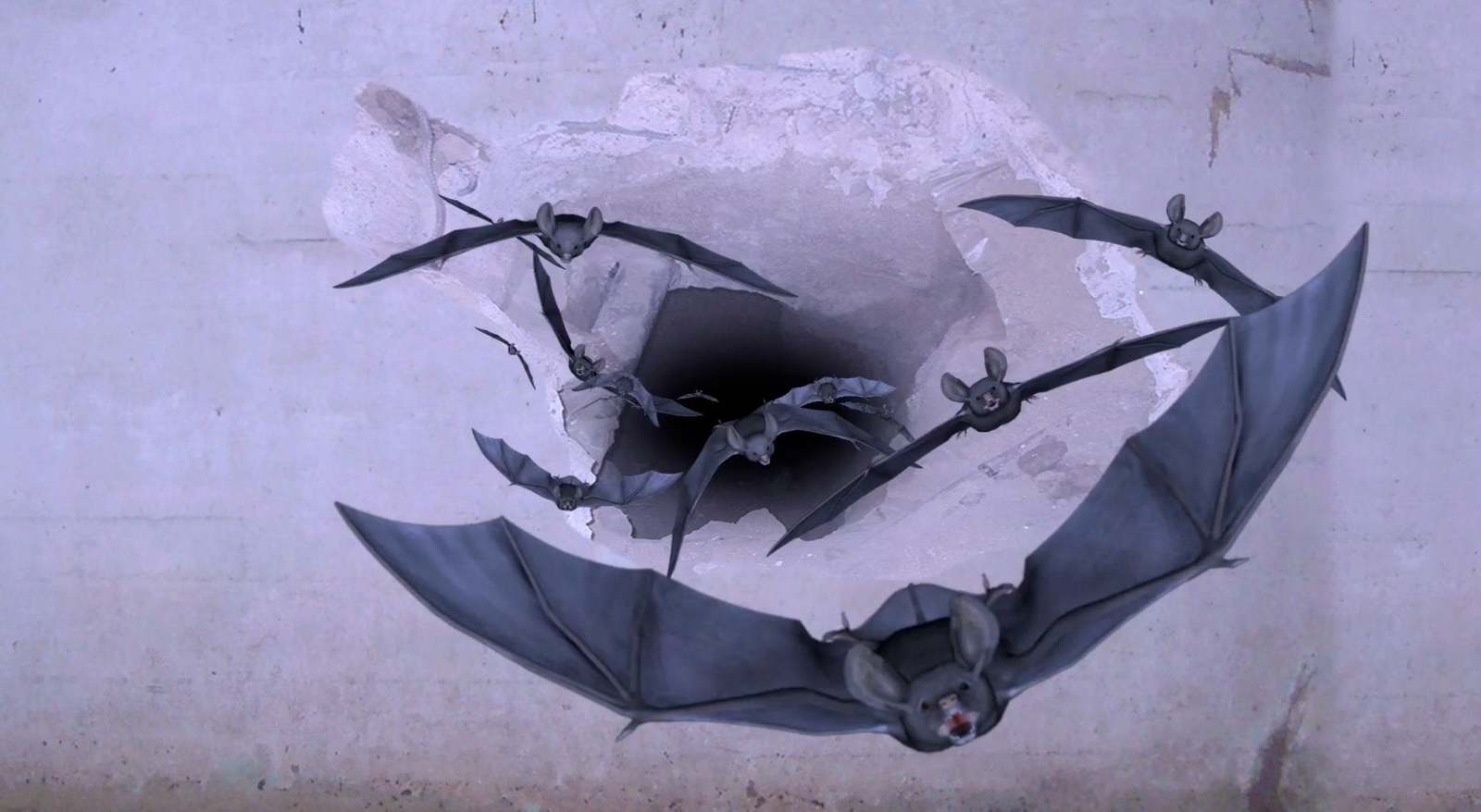 Halloween Bats - $15.95