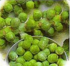 50 Seeds Catskill Brussel Sprouts - £18.71 GBP