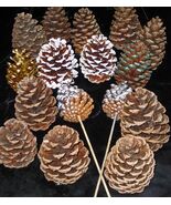 Pinecones Decor Craft Christmas Wreath Lot of 16 Natural &amp; Painted 2-4&quot; - $252.31 MXN