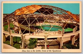 Vintage Showtime Golden Dome Aquatarium St Petersburg Florida Postcard - £3.87 GBP