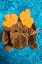 CHOCOLATE -The Moose ✳︎RARE ERRORS✳︎ - Ty Beanie Babies  1993 - $3.99