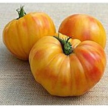 Oaxacan Jewel Tomato Seeds Gardening Easy Grow Usa Shipping - $5.60