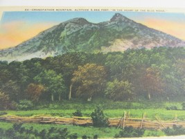 Vintage Grandfather Mountain Blue Ridge NC Postcard 51381 - $12.86