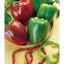 Fresh Seeds 25 Seeds Red Green Bell Peppers Vegetable Garden Sweet Edibl... - $7.58