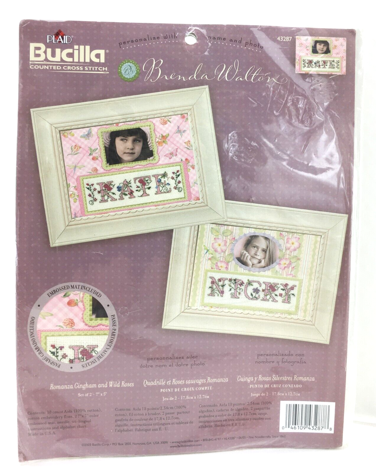 Romanza Gingham & Wild Roses Bucilla Counted Cross Stitch Kit Brenda Walton NEW - $18.00