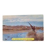 Postcard Duck Hunting From Among The Reeds Rembrandt Chrome Unposted - $6.84 CAD