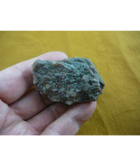DF476-39) 3 oz Fossil REAL DINOSAUR leg Bone piece Jurassic love dinosau... - $4,467.68 MXN