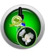 Jasmine Absolute Oil (Jasminum Sambac) - $8.00+