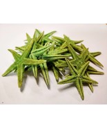 Dried MINI Olive Green Starfish Colored - Natural Sea Stars - Coastal Be... - $223.20 MXN