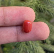 Natural Coral Gemstone, Oval Shape Coral, Gift For Her, Jewelry Making G... - $9.99