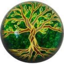 Clear Glass Paper Weight 1.5 Inches HIgh (Tree of Life) - £18.80 GBP