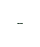 Axiom A6960121-AX AXIOM 8GB DDR3-1600 LOW VOLTAGE ECC UDIMM FOR DELL - A... - $2,609.83 MXN