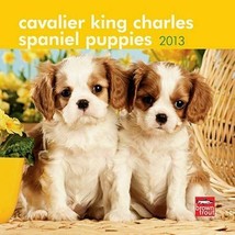 2013 Calendar Cavalier King Charles Spaniel Puppies 2013 Mini Wall Calendar - £8.75 GBP