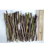 Pear Wood Stick Twig Branch Chew for Chinchilla Rabbit Hamster (B) - 7 oz - £6.10 GBP