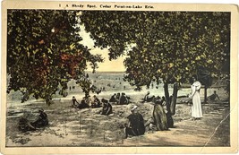 Cedar Point-on-Lake, Erie, post card 1936 - £11.79 GBP