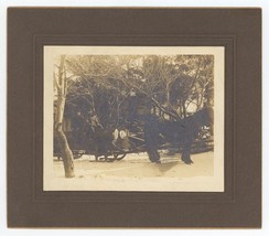 Antique Circa 1900s ID&#39;d Cabinet Card Two Men Hauling Logs Horse &amp; Sleigh - £22.03 GBP