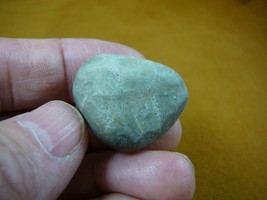(F830-36) 1-1/4&quot; polished Petoskey stone ANCIENT coral specimen MI state rock - £11.98 GBP
