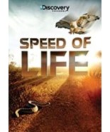 Speed of Life Dvd - £7.82 GBP