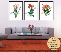 Watercolour Botanical Printable Wall Art in a Set of 3 Floral Wall Hangi... - £9.47 GBP
