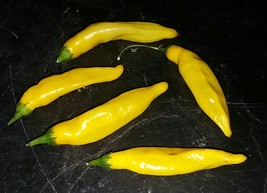 Aji Lemon Drop  hot pepper heirloom seed, chili pepper seeds, gardener gift, Tra - $2.65