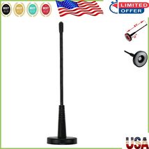 Stylish Universal Car Dummy Antenna with Robust Magnetic Base - 6.1&quot; Height - $280.06 MXN
