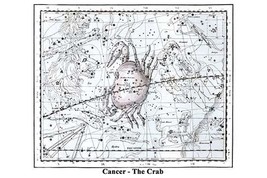 Cancer - the Crab - £15.77 GBP