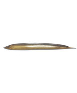 Ribbonfish Trolling Lure Bait Almost Alive Big Game Clear/Glitter 8 Pack... - €50,84 EUR