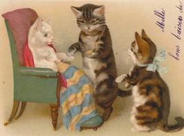 U/S H. Maguire Tabby Cat Showing Off a Locket To Others Antique UDB Postcard - £22.54 GBP