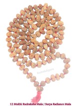 Raro 12 Mukhi Rudraksha Mala / Surya Radiance Twelve Viso - 109 Perline - $962.88
