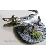 Real Crocodile Caiman Juvenile Crocodilus Spectacled Stuffed Taxidermy M... - $406.79 CAD