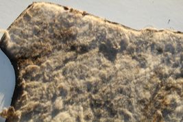 2000-2002 TOYOTA CELICA GT GT-S REAR TRUNK FLOOR LINING CARPET 2513 image 12