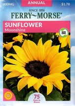 GIB Sunflower Moonshine Flower Seeds Ferry Morse  - $9.00