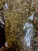 Devils claw herb 50g THR 34425/0003. - $9.41