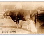 RPPC Farm Scene Comic Country Suckers Bull and Pigs 1914 Postcard R22 - $17.03