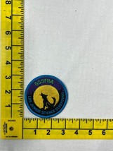 Lhs Junior Science Sleepover Gssfba Gsa Girl Scout Patch - £11.87 GBP