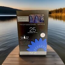 Celebrations Platinum LED String  25 Lights 24 Ft Blue C9 - $14.85