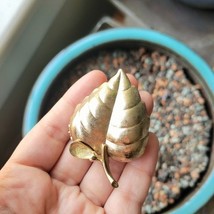 Vintage Gold Leaf Brooch Pin - $18.99