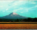 Daffodil Fields Mount Rainier Puyallup Washington WA UNP Chrome Postcard G5 - $4.90
