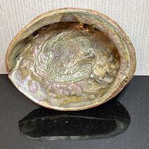 Large Red Abalone Shell Seashell Trophy Size 9”x7.5” Mother Of Pearl Vin... - $95.02