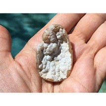 Agatized Tampa Bay Fossil Coral 44x29x10 mm Agate Botryoidal Cabochon - £38.75 GBP