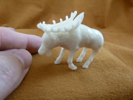 tb-elk-6 little white buck Elk Tagua NUT palm figurine Bali carving Moos... - $54.69