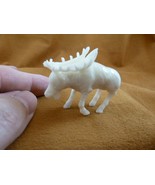 tb-elk-6 little white buck Elk Tagua NUT palm figurine Bali carving Moos... - £43.34 GBP