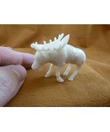 tb-elk-6 little white buck Elk Tagua NUT palm figurine Bali carving Moos... - $1,039.48 MXN