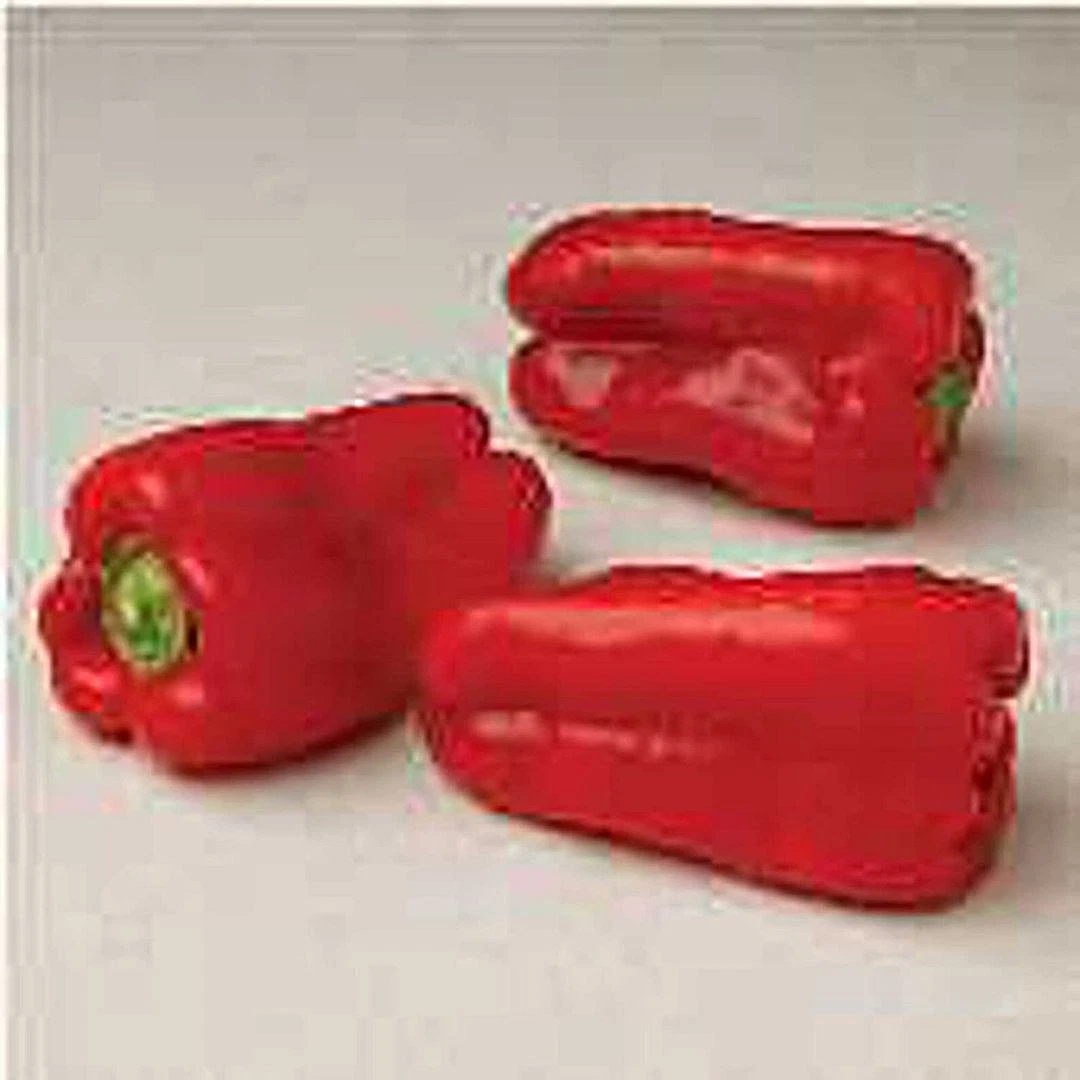 Fast Growing 25  Red Belt Sweet Peppers  (More Heirloom Organic Non GMO ... - $11.75